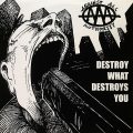 AGAINST ALL AUTHORITY – Destroy What Destroys You(1995, Far Out Records)