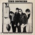 THE DICKIES – Paranoid ㆍHideousㆍ You Drive Me Ape(You Big Gorilla)(1978, A&M)