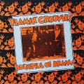 FLAMIN’ GROOVIES – Bucketful Of Brains(1983, Voxx/Bomp)