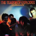 TEARDROP EXPLODES – Kilimanjaro(1980, Mercury)