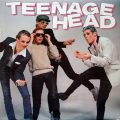 TEENAGE HEAD – S/T(1979, Inter Global Music)