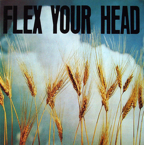 V/A – Flex Your Head(1993, Dischord)