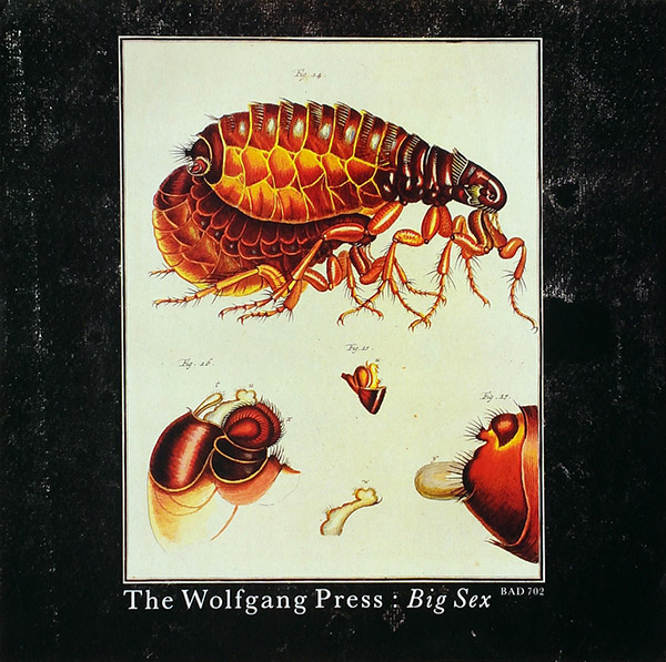 WOLFGANG PRESS – Big Sex(1987, 4AD)